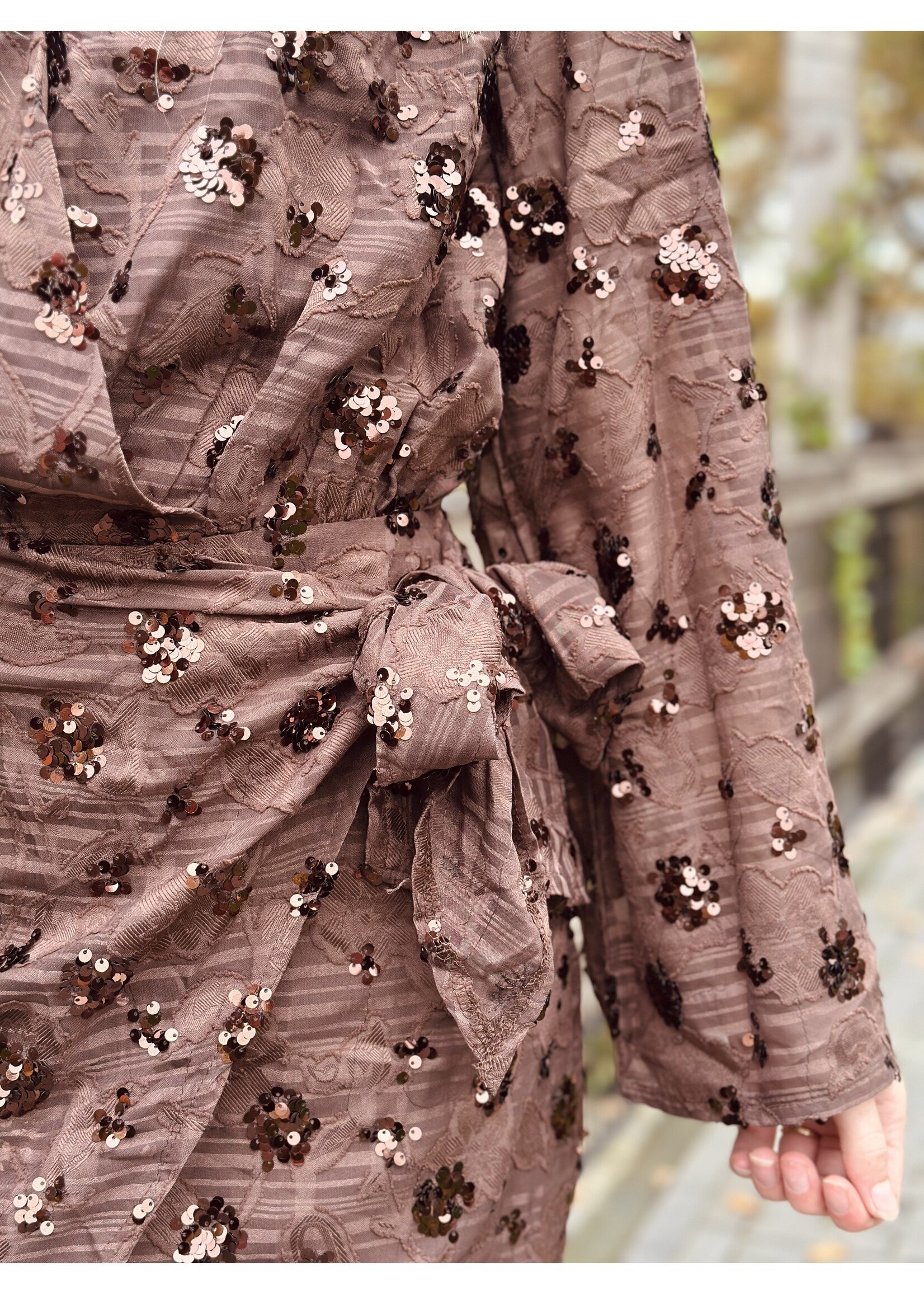 Esmee dress glitter dress brown