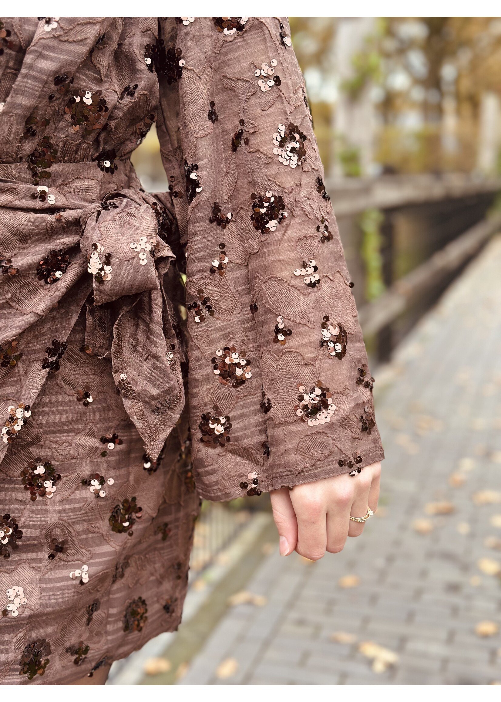 Esmee dress glitter dress brown