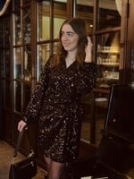 Dianna dress glitter brown