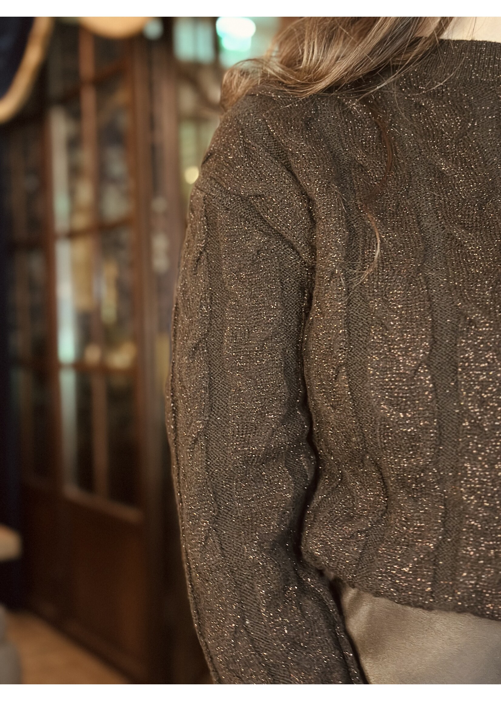 Elvira Elvira Jill sweater brown glitter