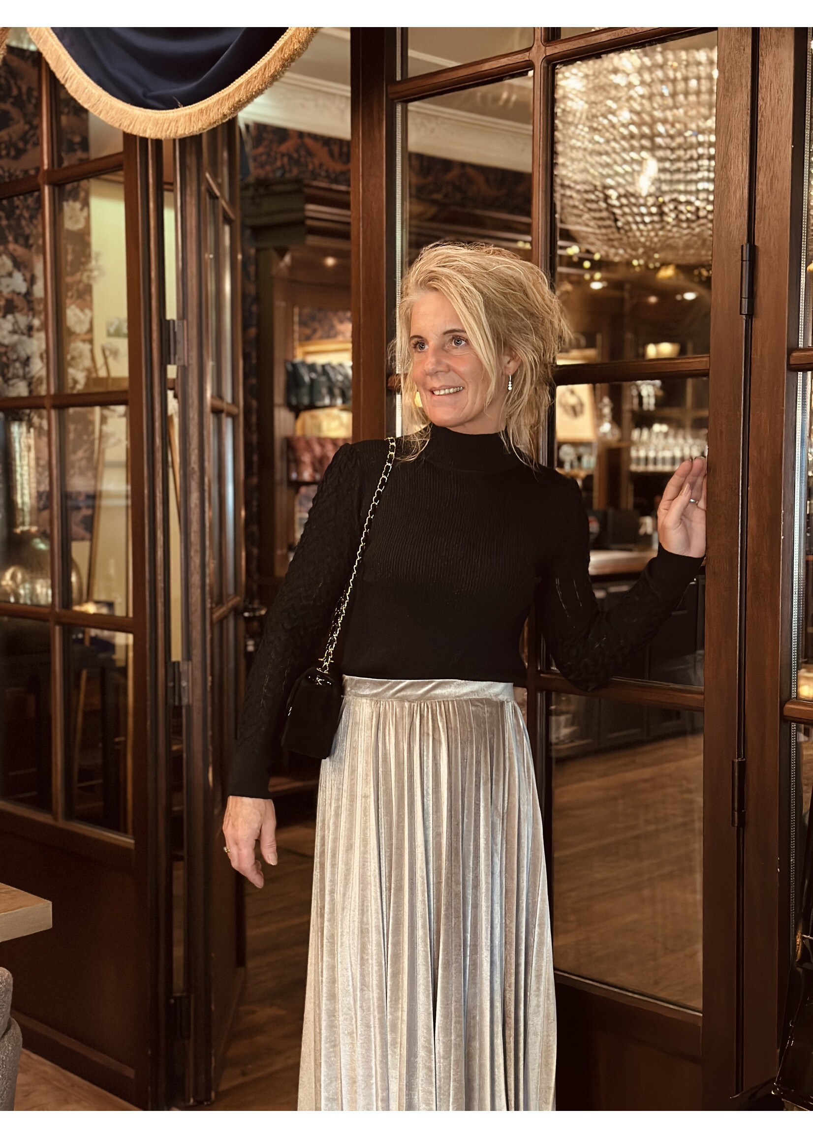 Inge velvet skirt silver