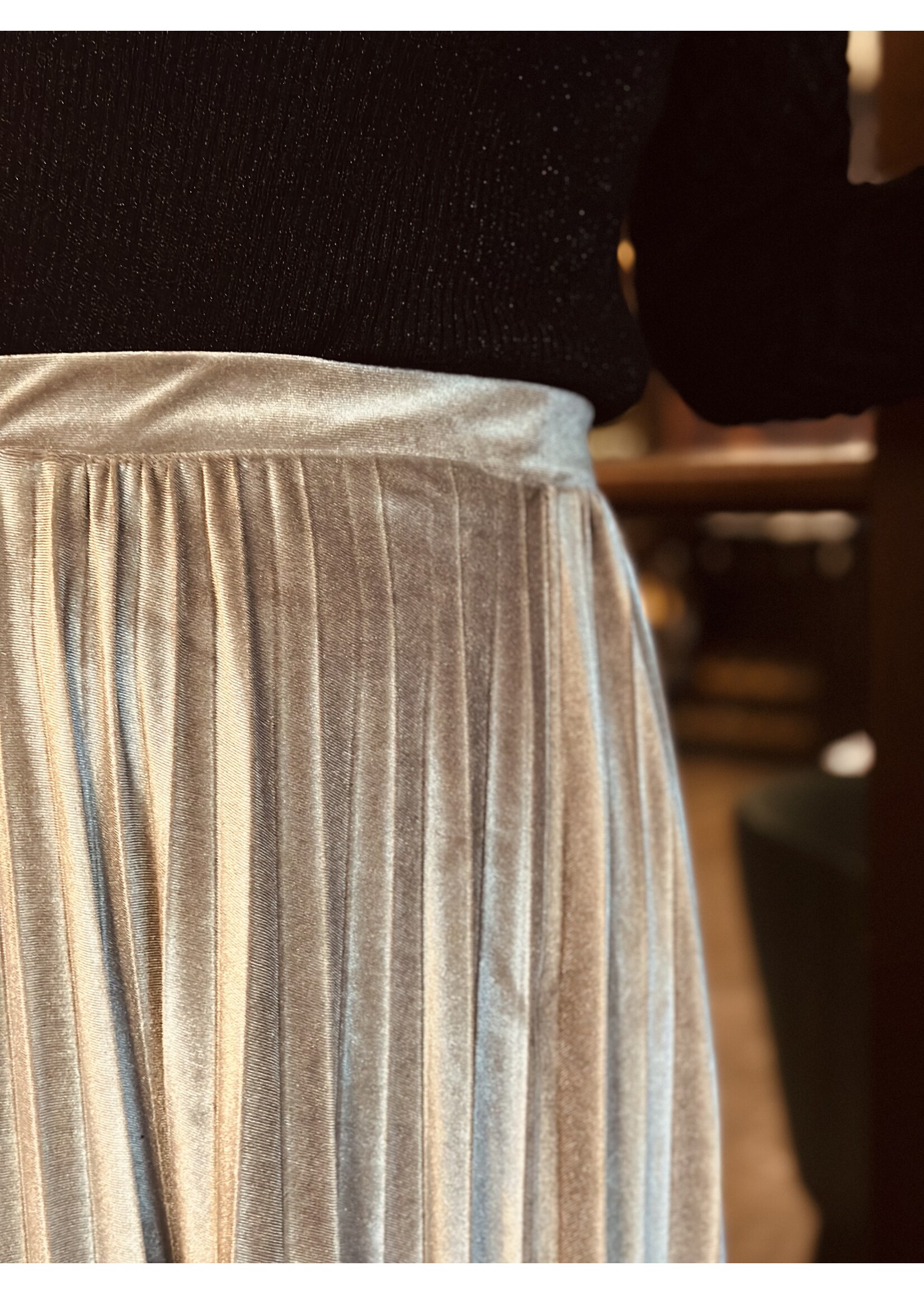Inge velvet skirt silver
