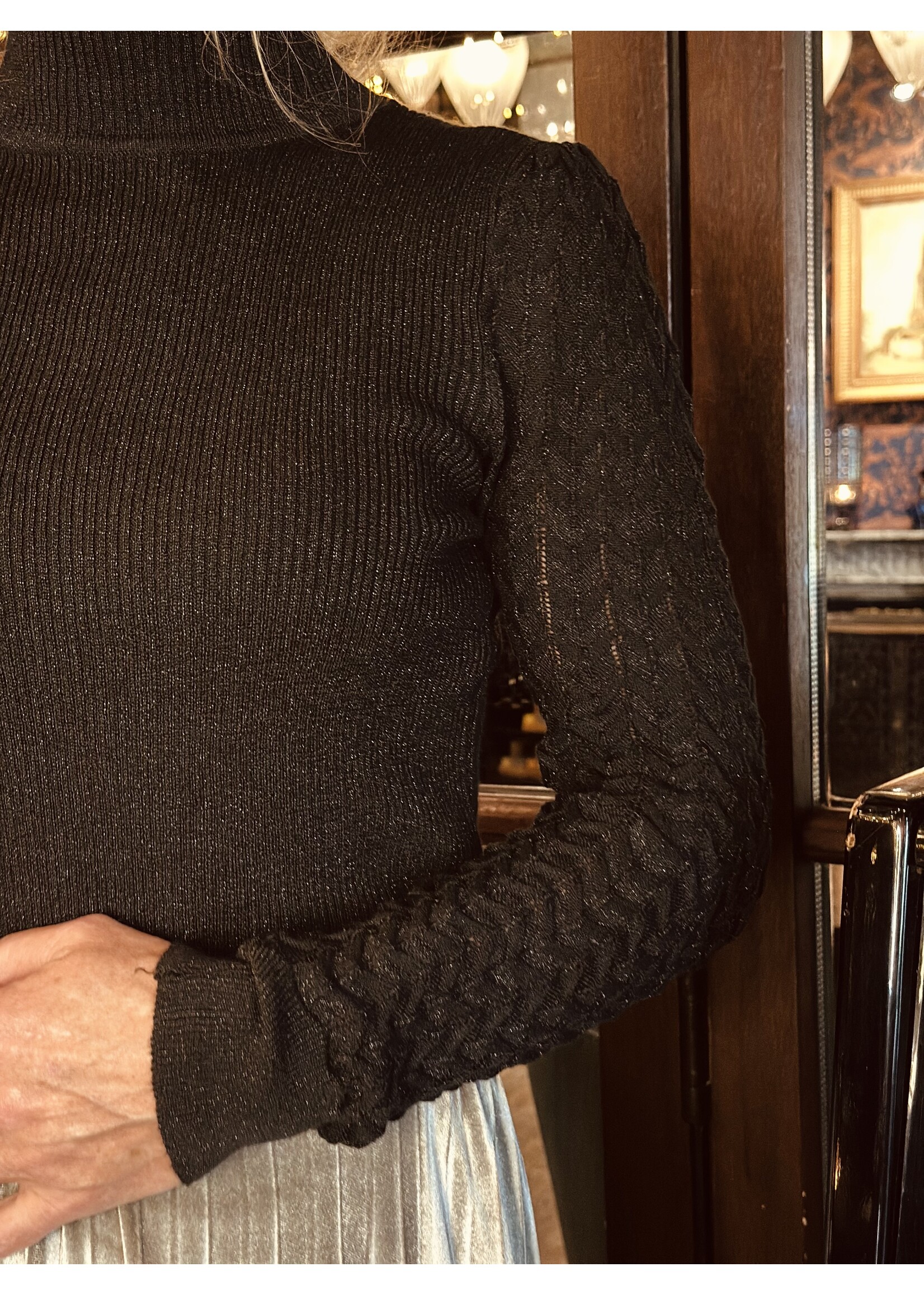 Diana glitter top black