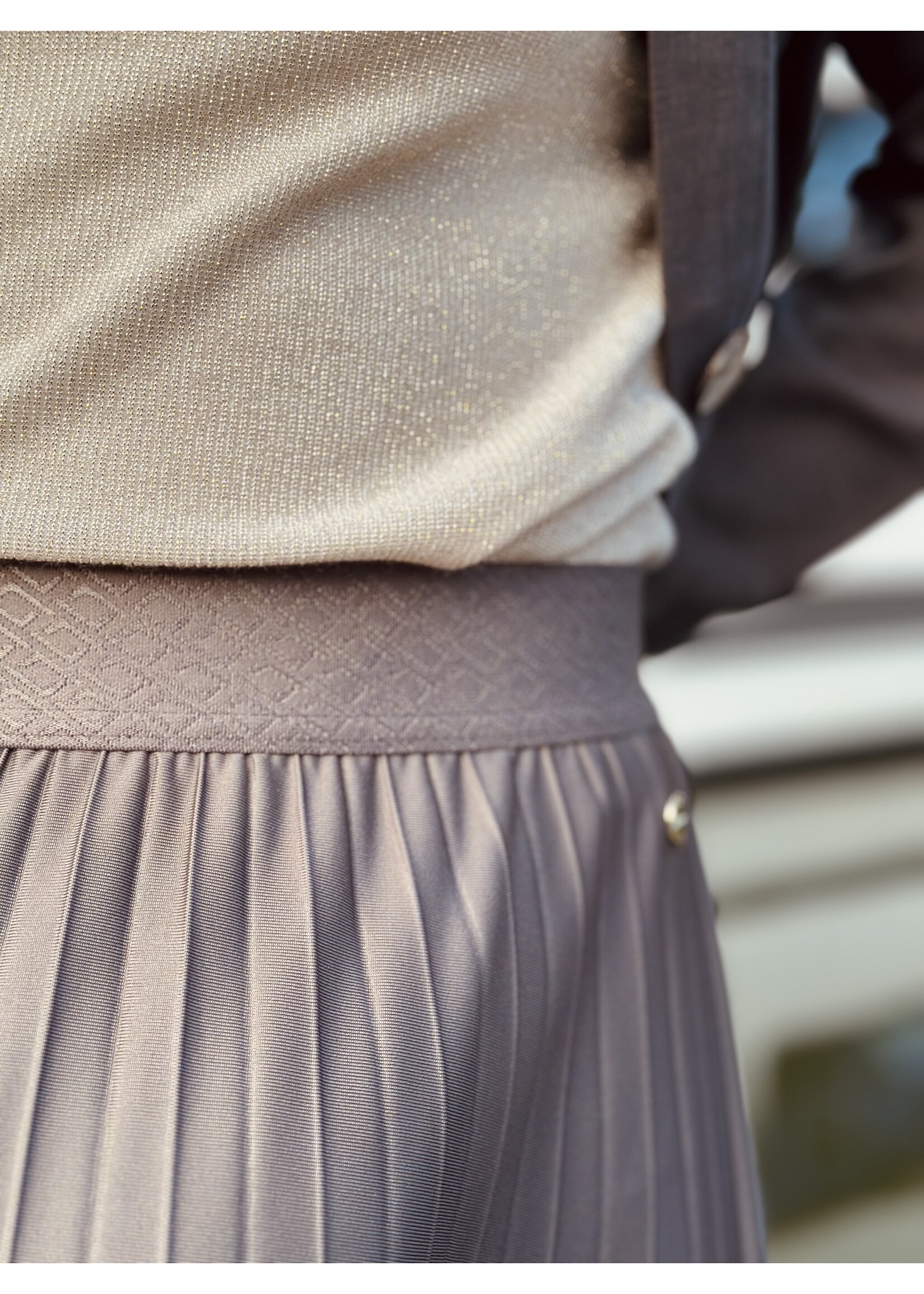 Elvira Elvira Hannah long plissé skirt taupe