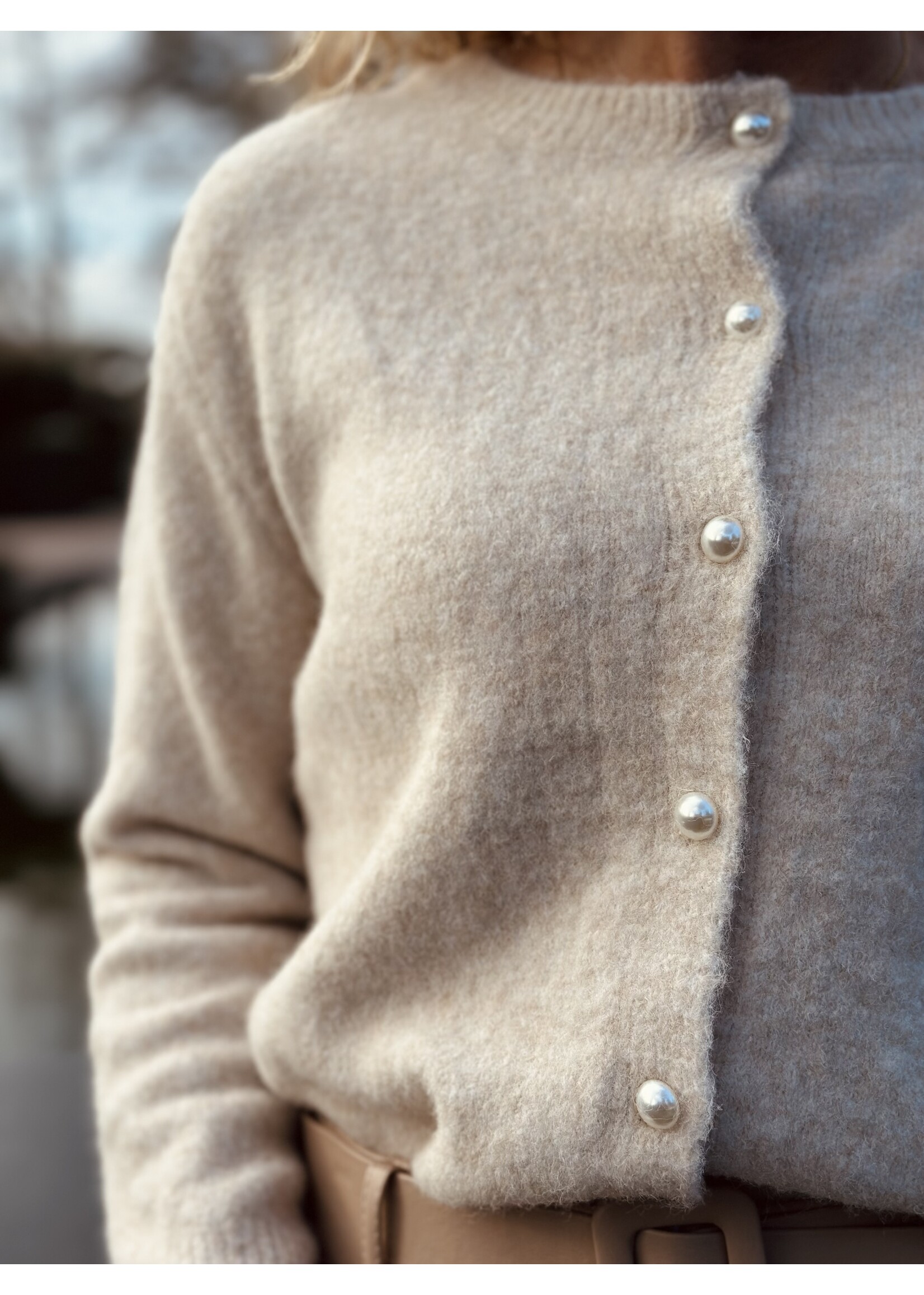 Jorina cardigan beige One Size