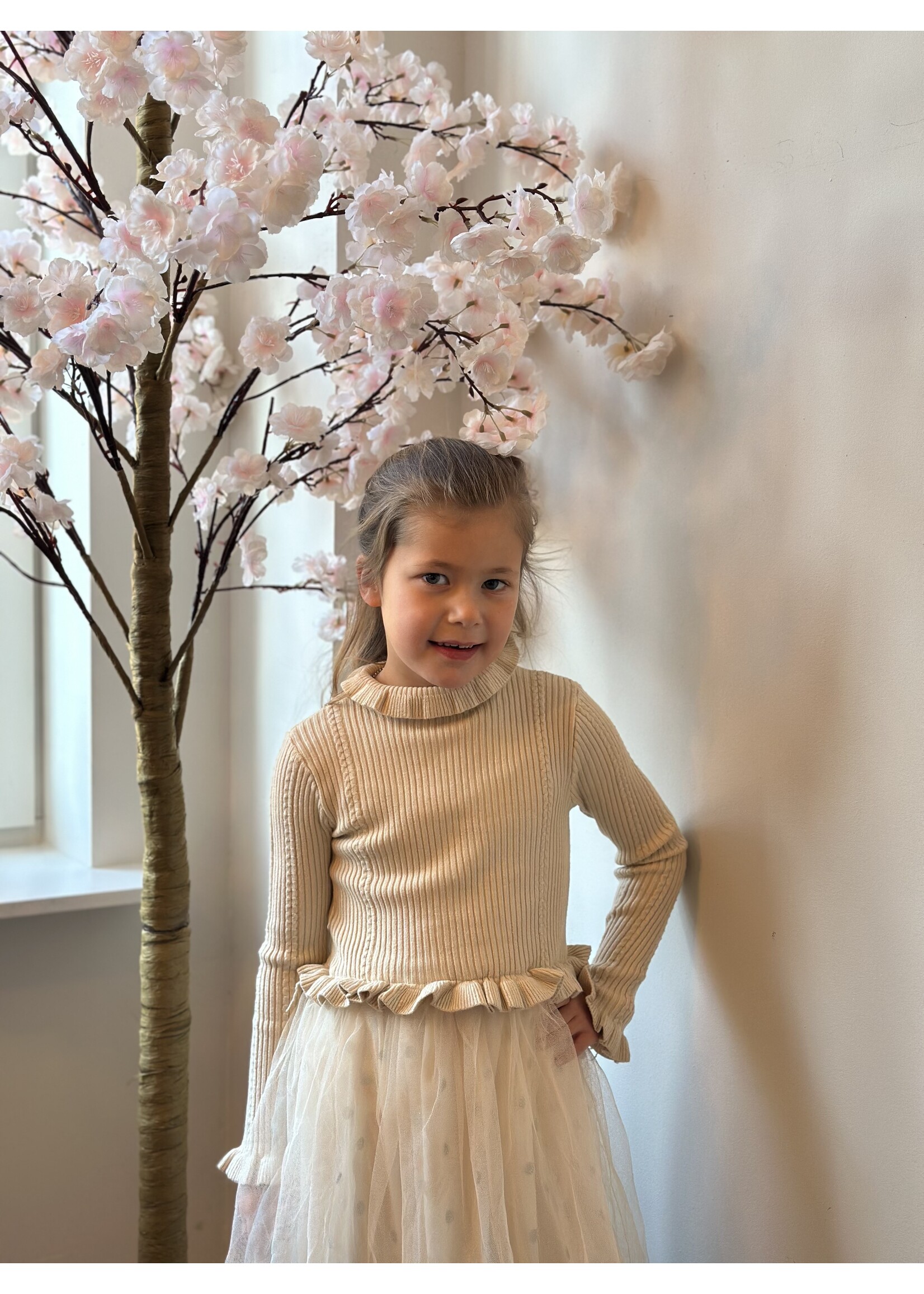 Marijke dress beige tulle print