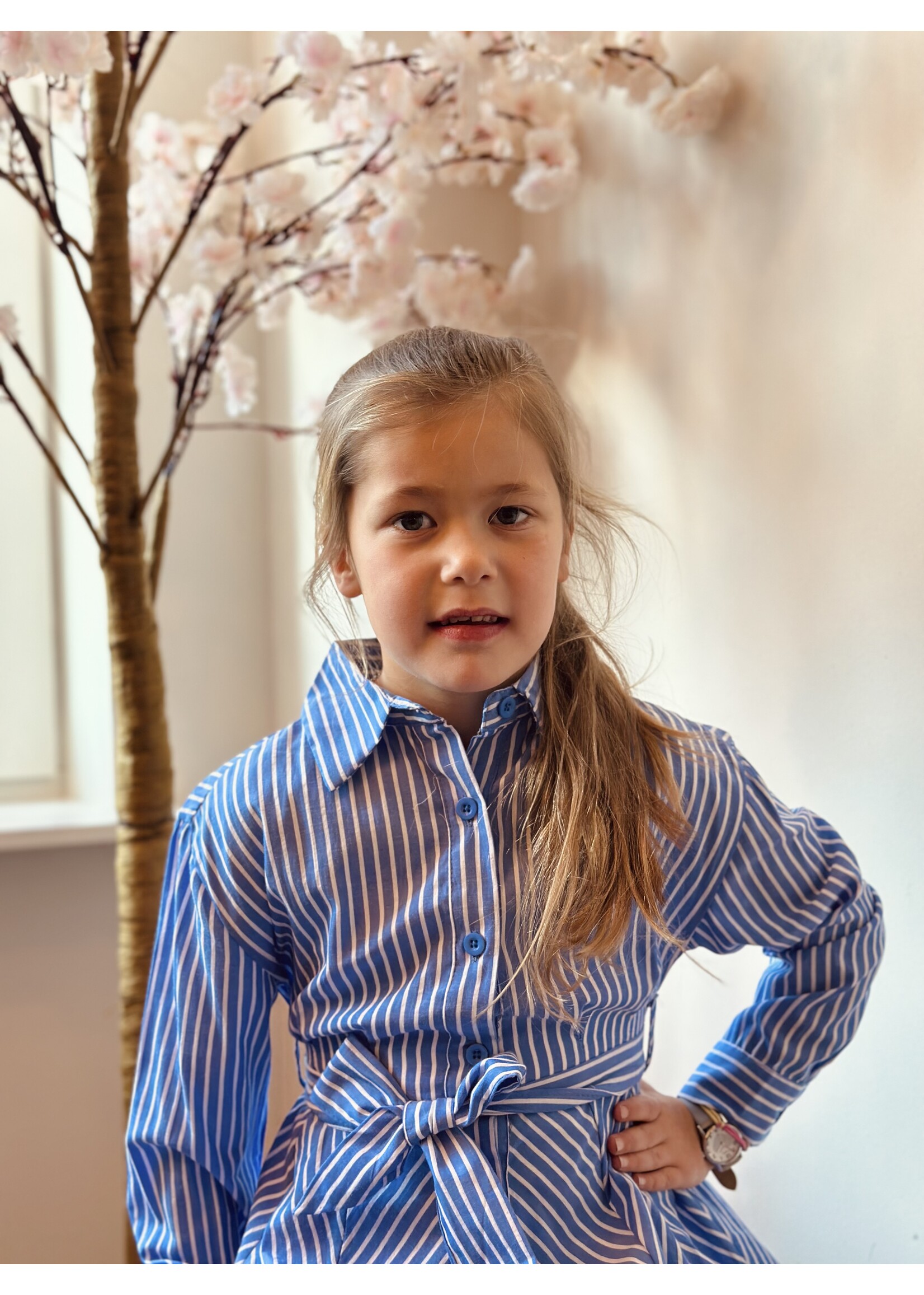 Isabella blouse dress blue/white stripes