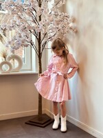 Isabella blouse dress pink/white stripes