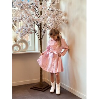 Isabella blouse dress pink/white stripes