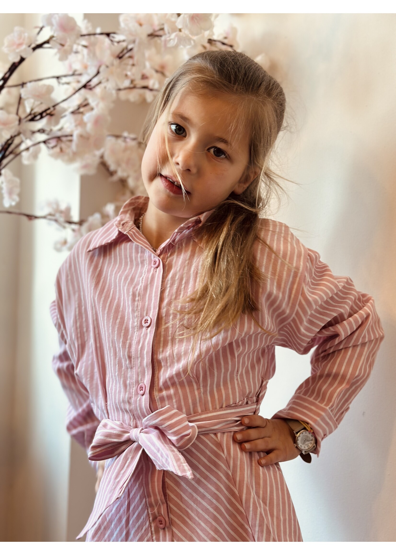 Isabella blouse dress pink/white stripes
