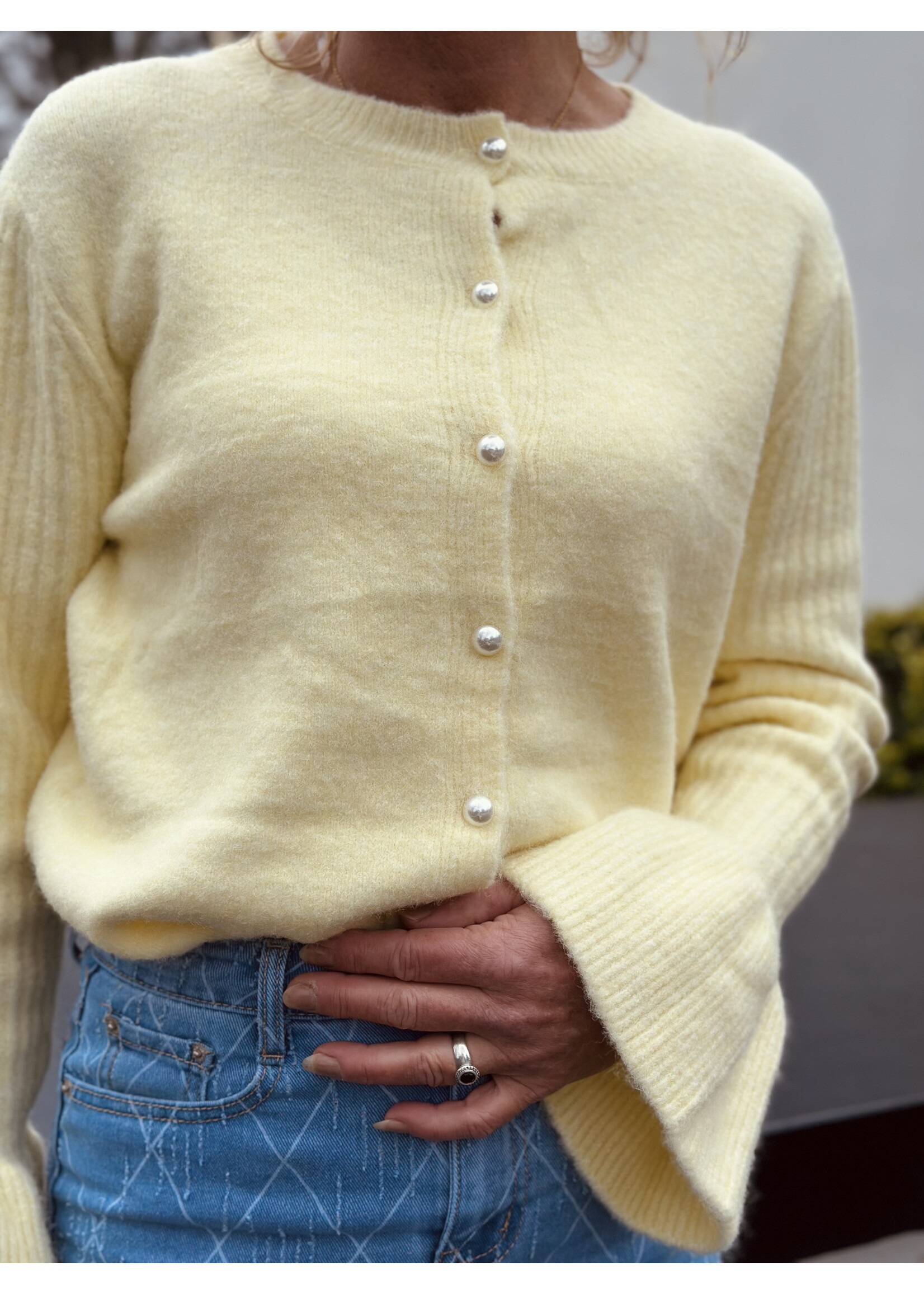 Lizana cardigan yellow One Size