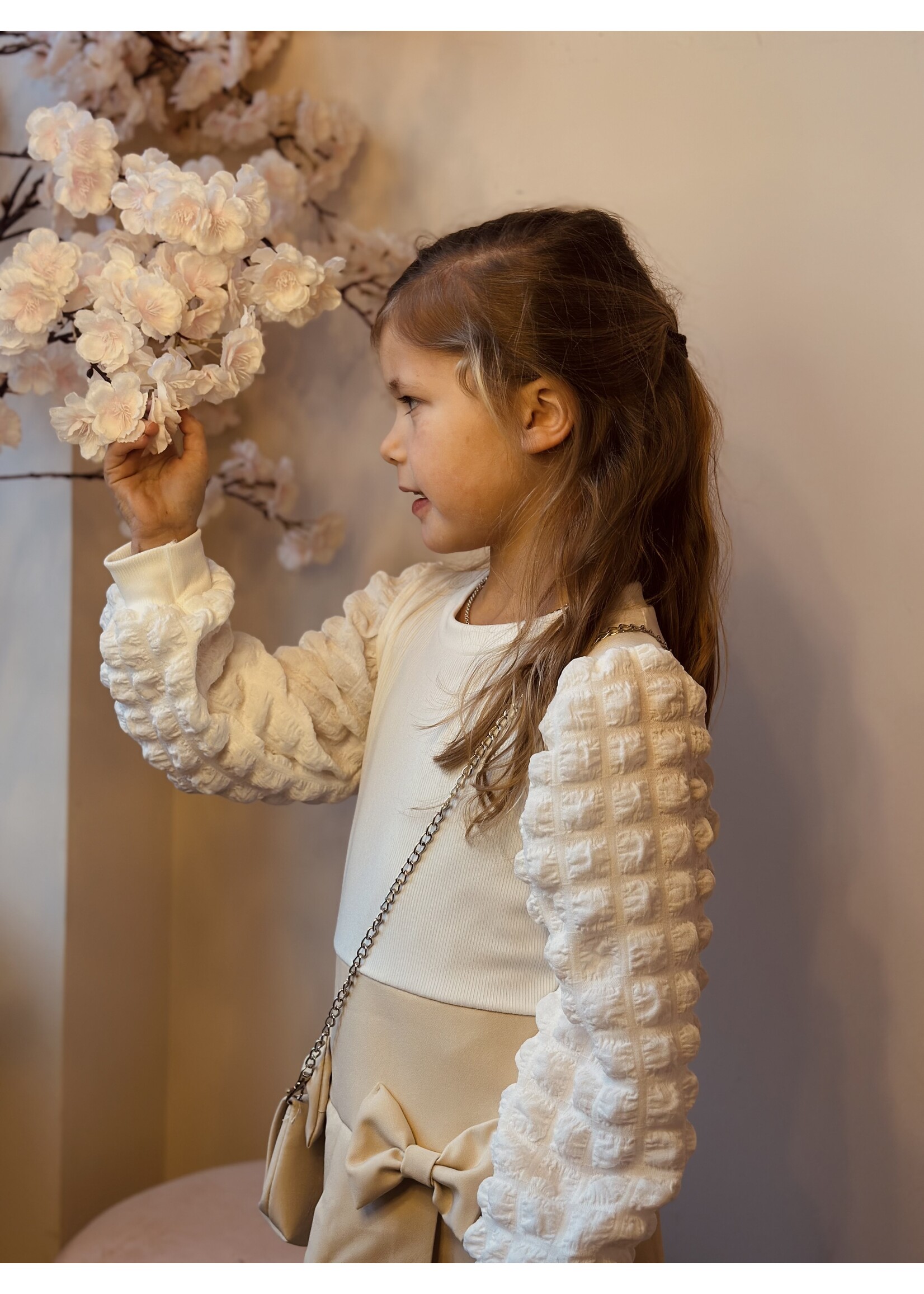 Marijne dress offwhite/beige