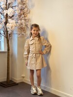 Leonieka denim dress beige