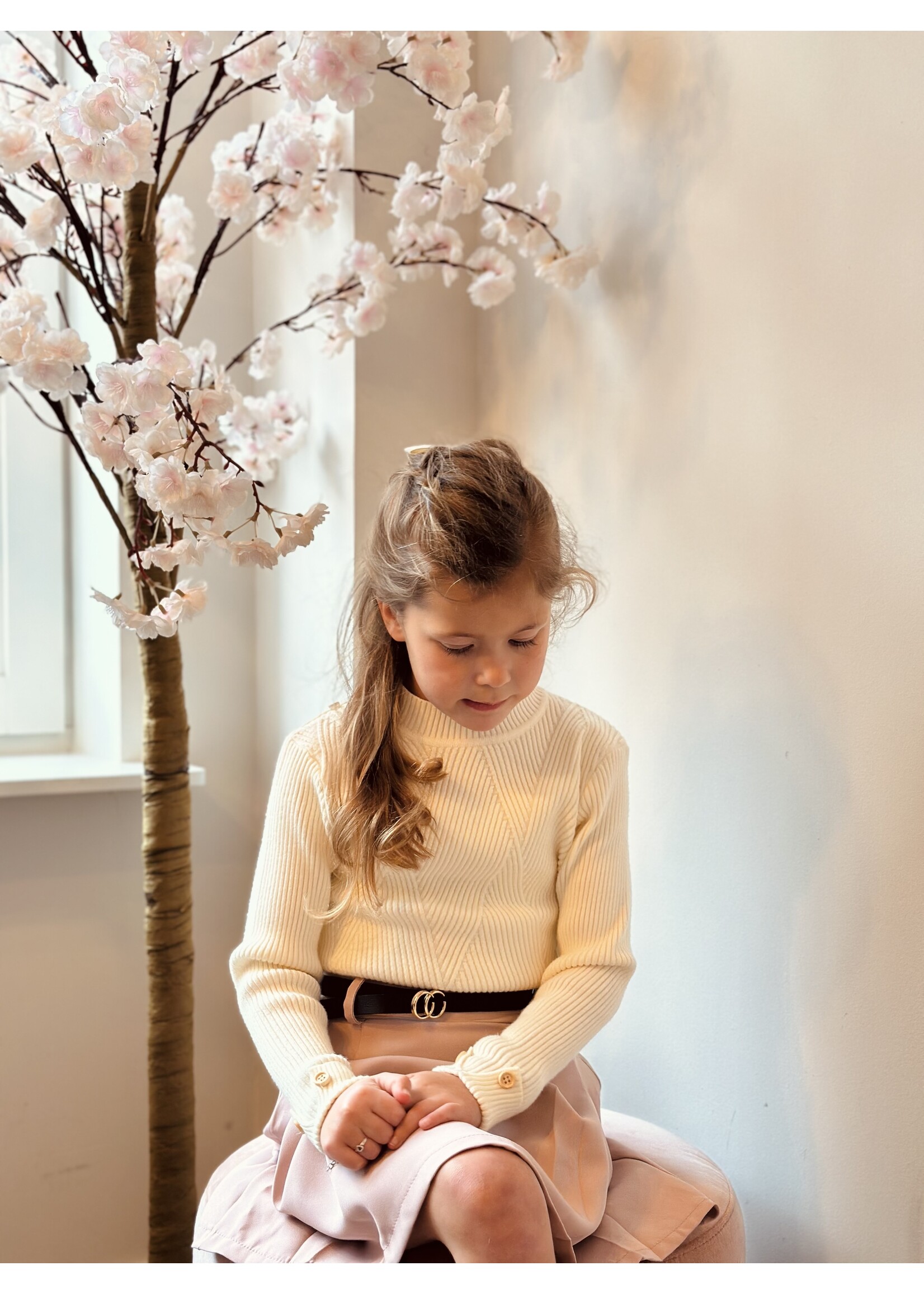 Sterre top beige print