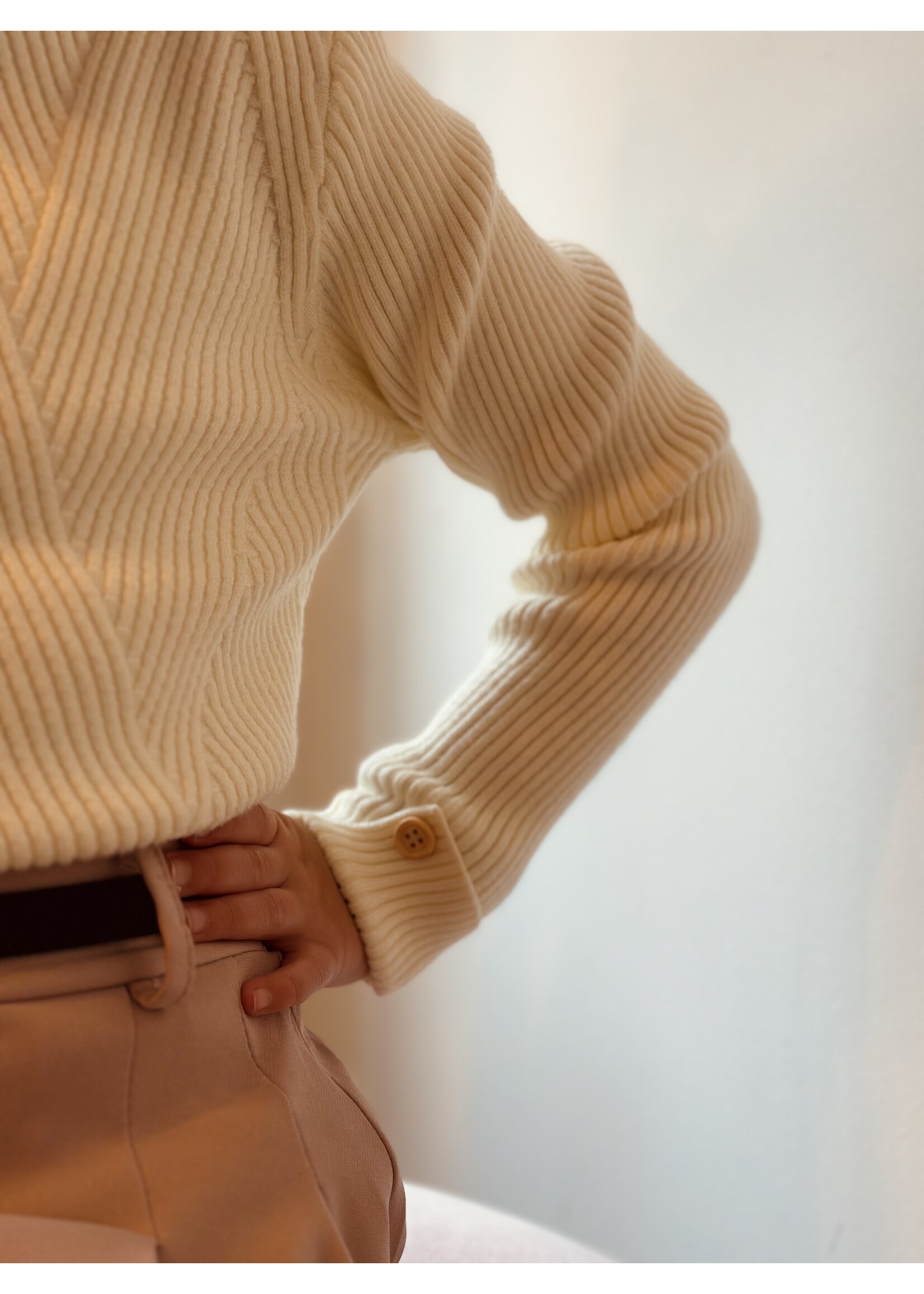 Sterre top beige print