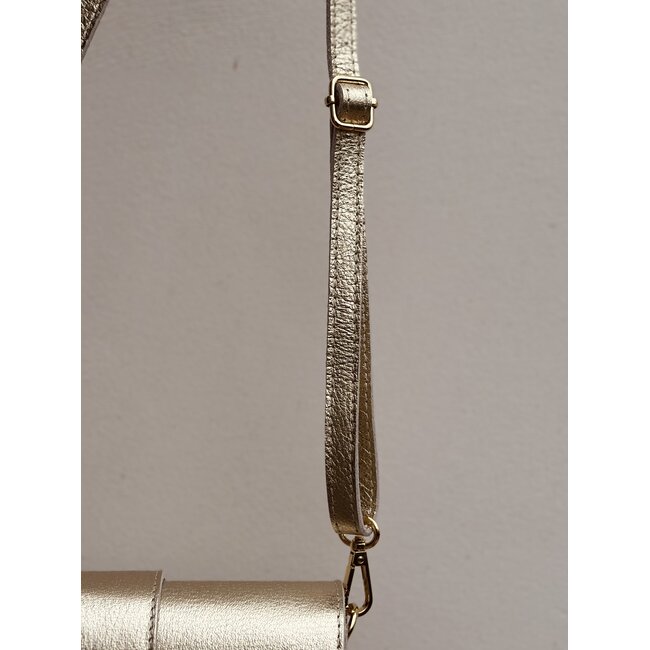 Tara bag gold