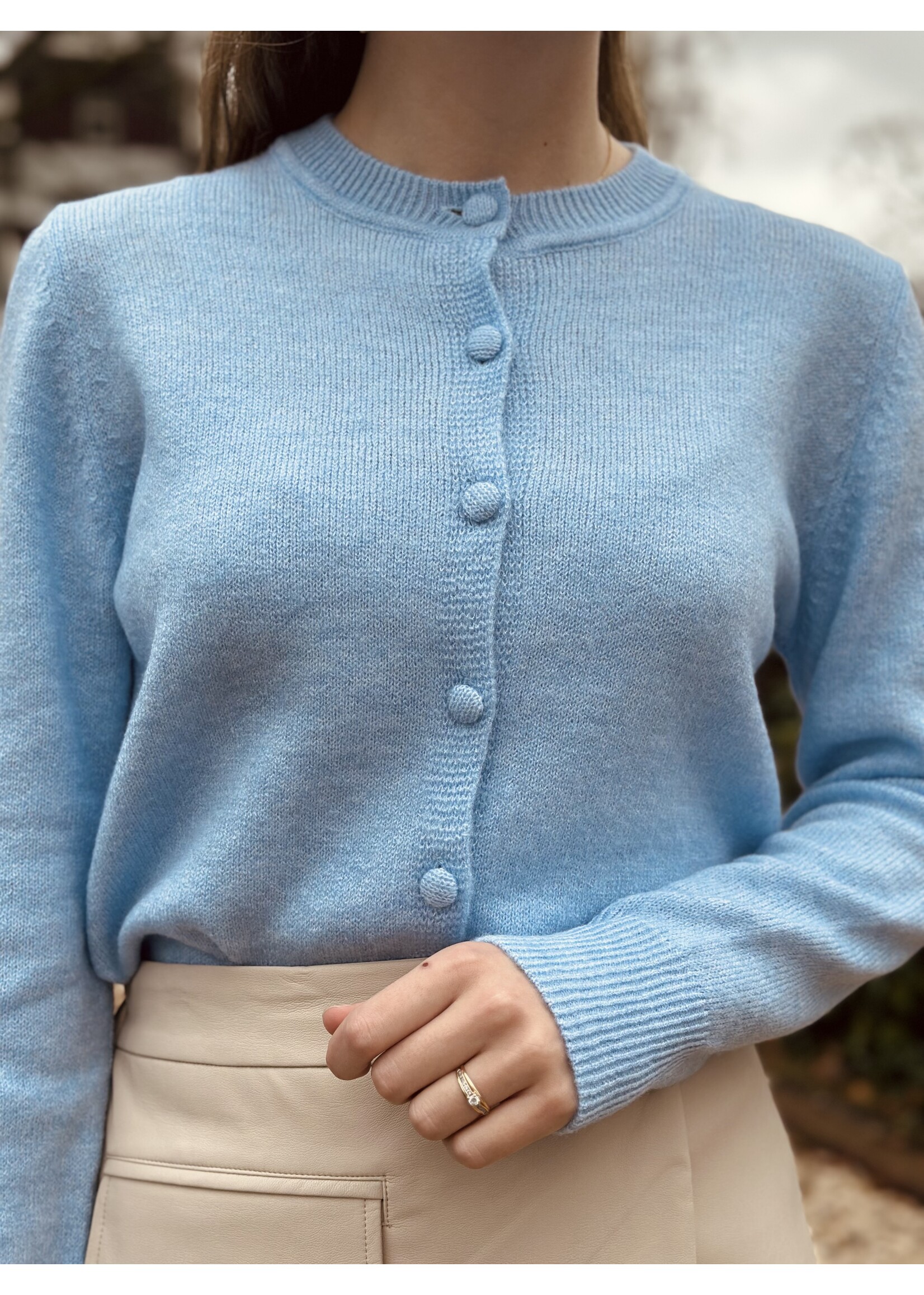 Elvira Elvira Marieke cardigan light blue