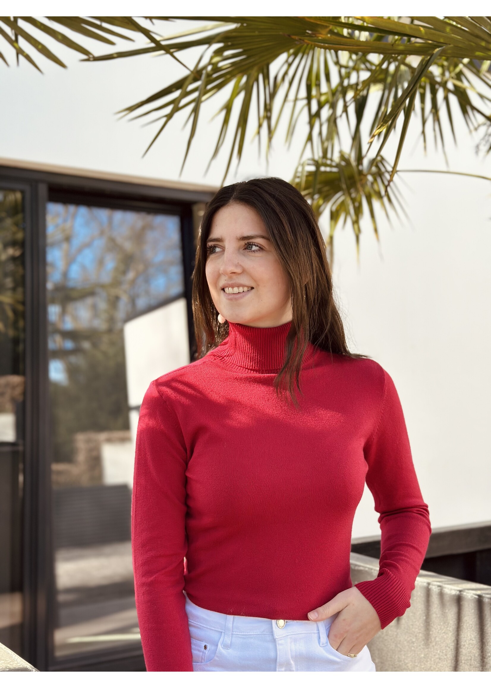 Lea turtleneck bordeaux red One Size