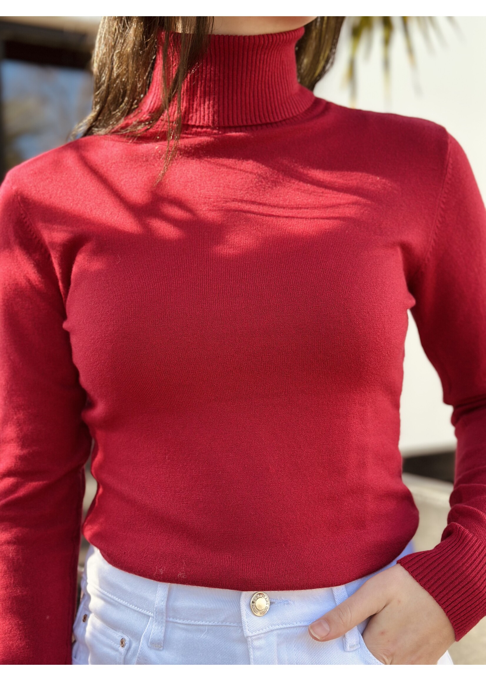 Lea turtleneck bordeaux red One Size