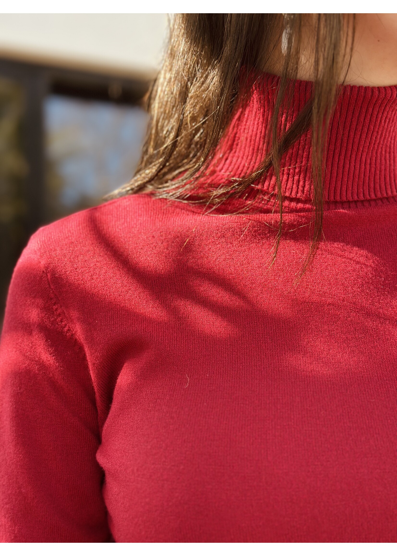 Lea turtleneck bordeaux red One Size
