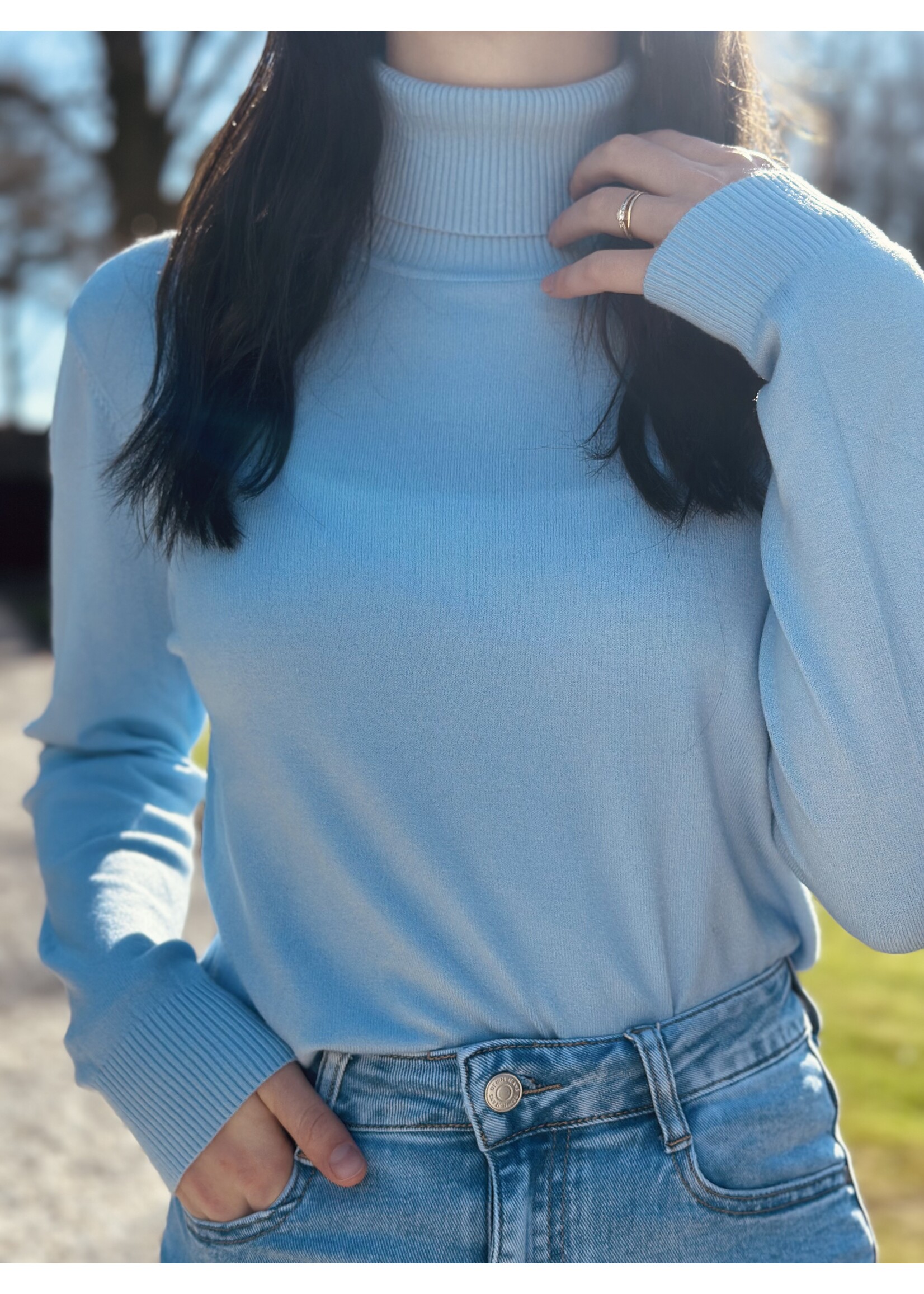 Roanne turtleneck light blue