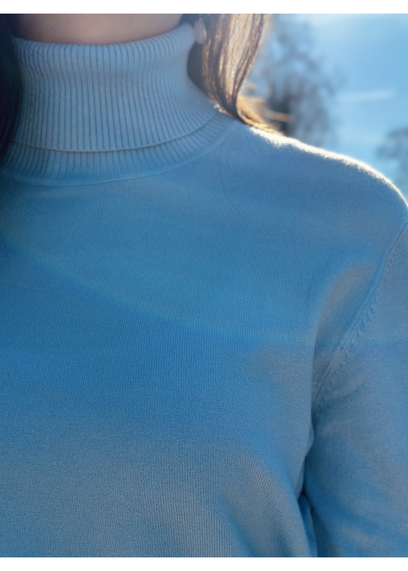 Roanne turtleneck light blue