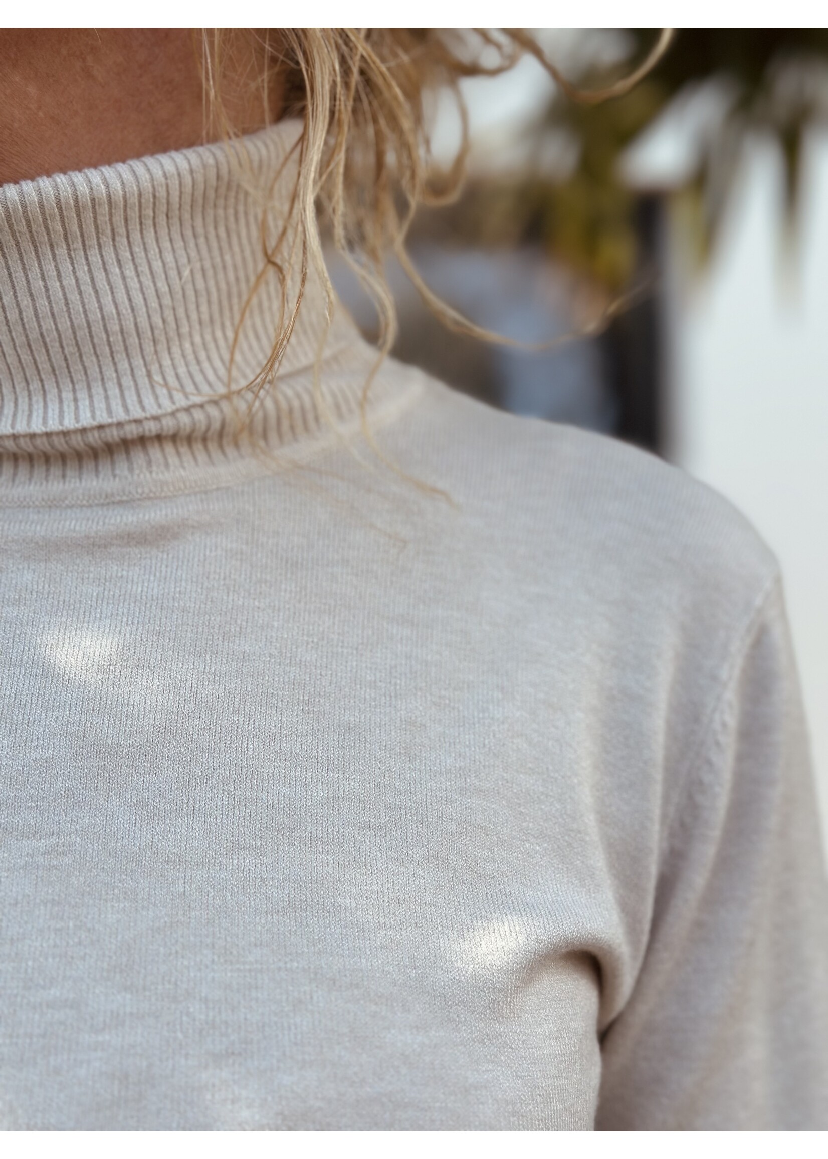 Roanne turtleneck beige