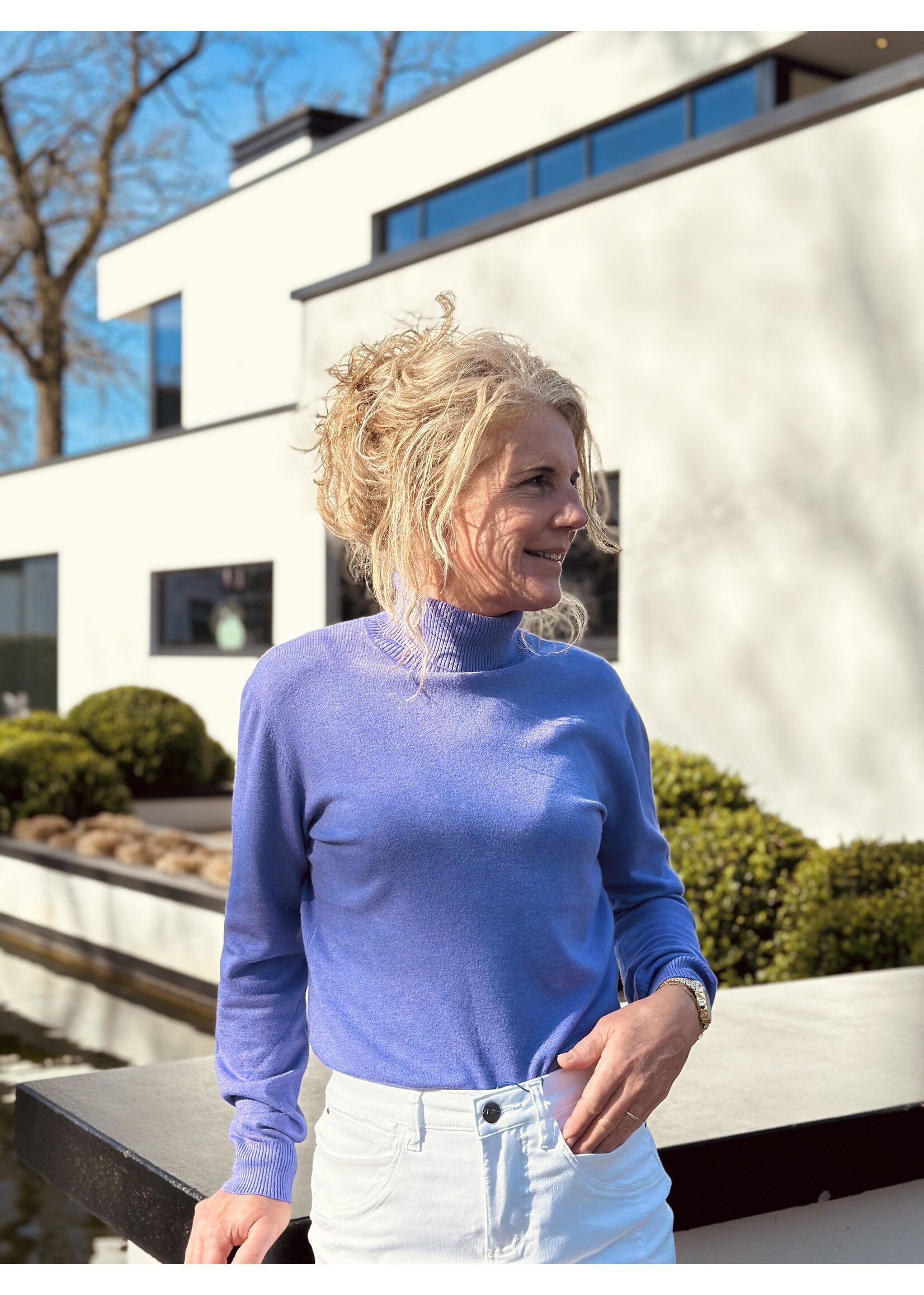 Roanne turtleneck purple