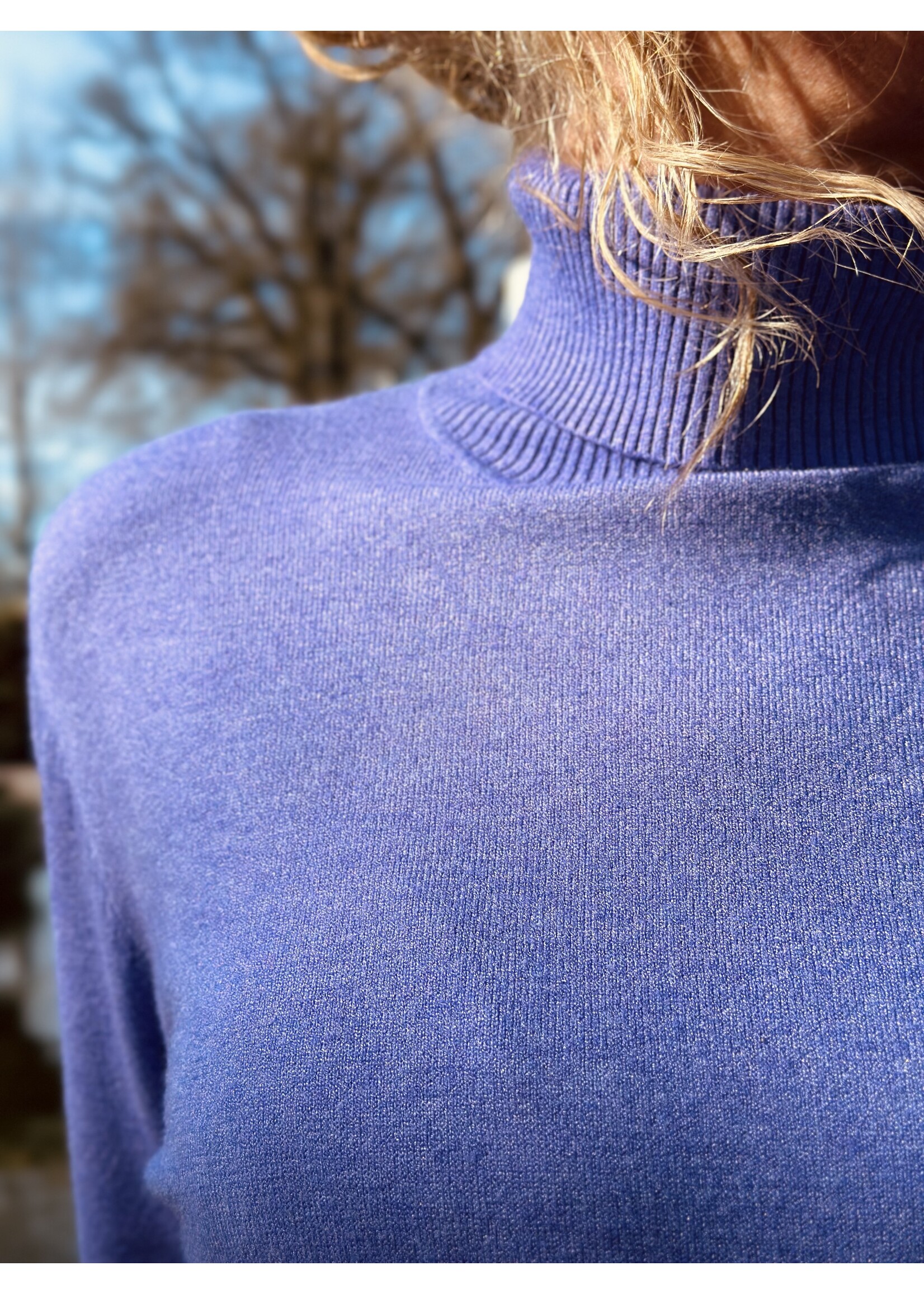 Roanne turtleneck purple