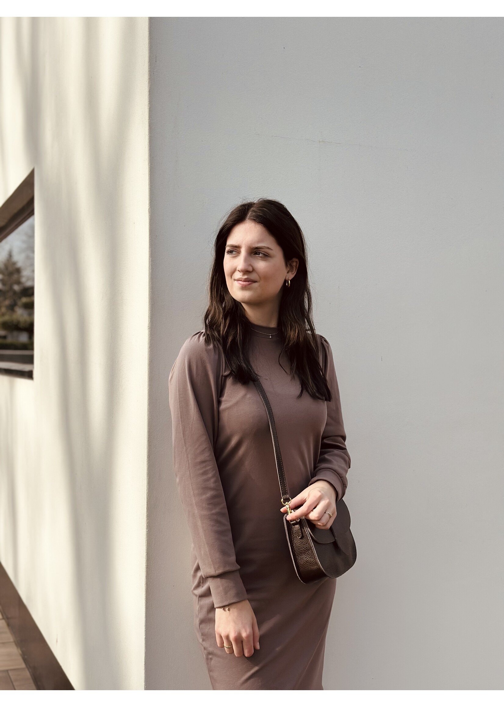 Rosien bodycon dress brown