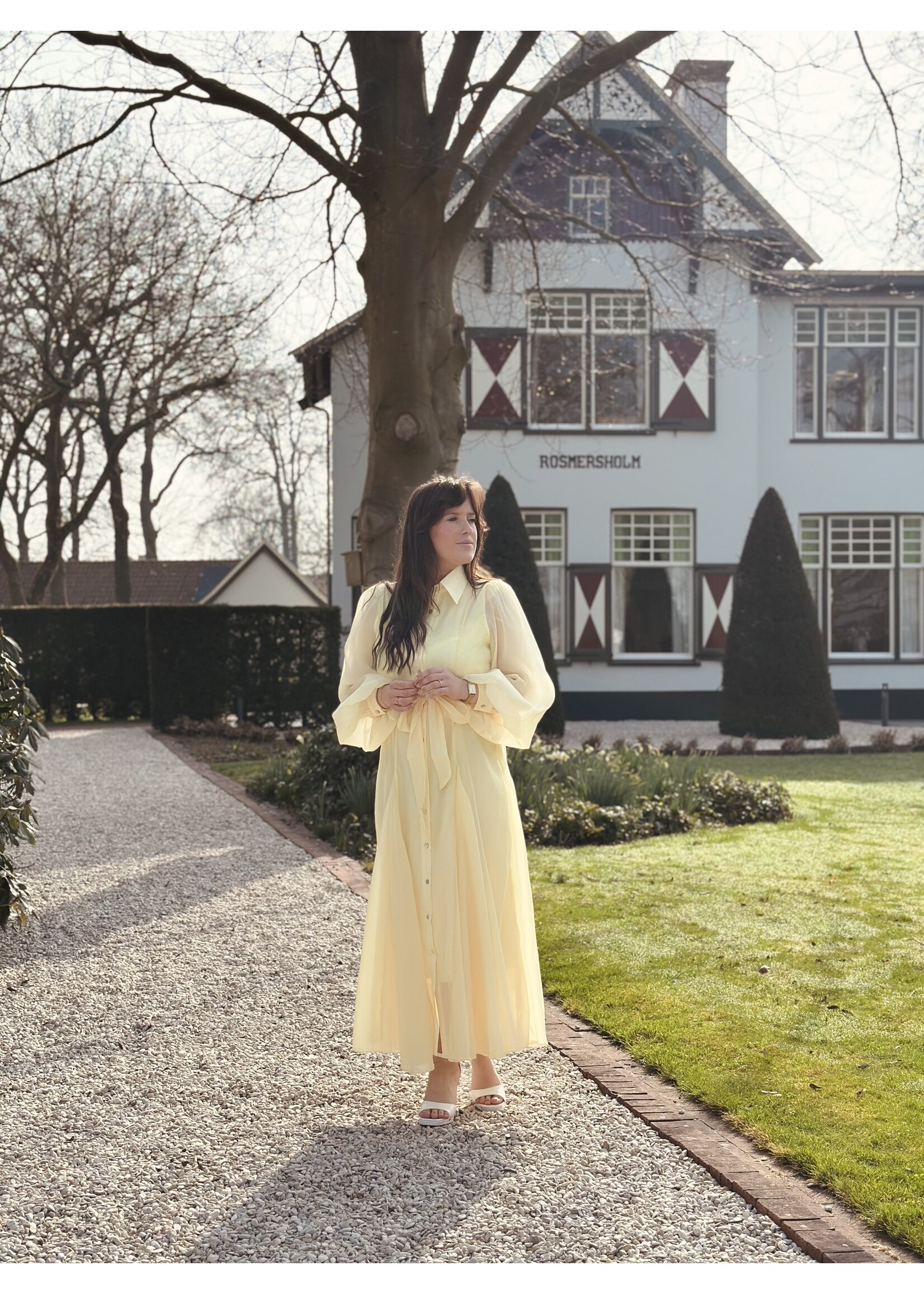 Larissa long dress yellow