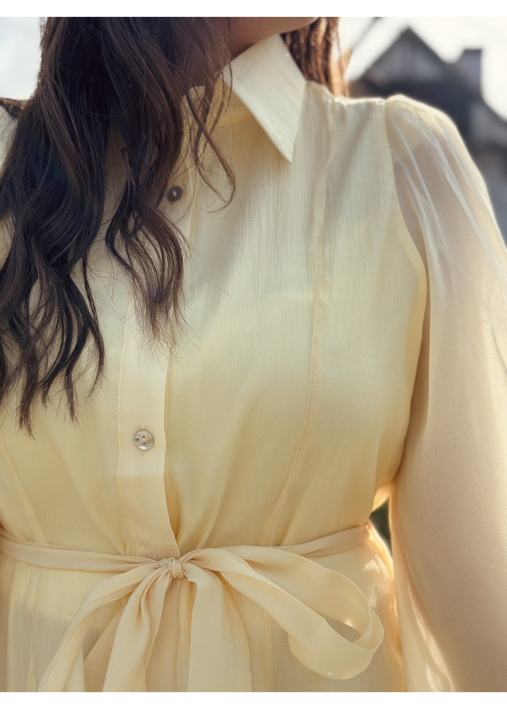 Larissa long dress yellow