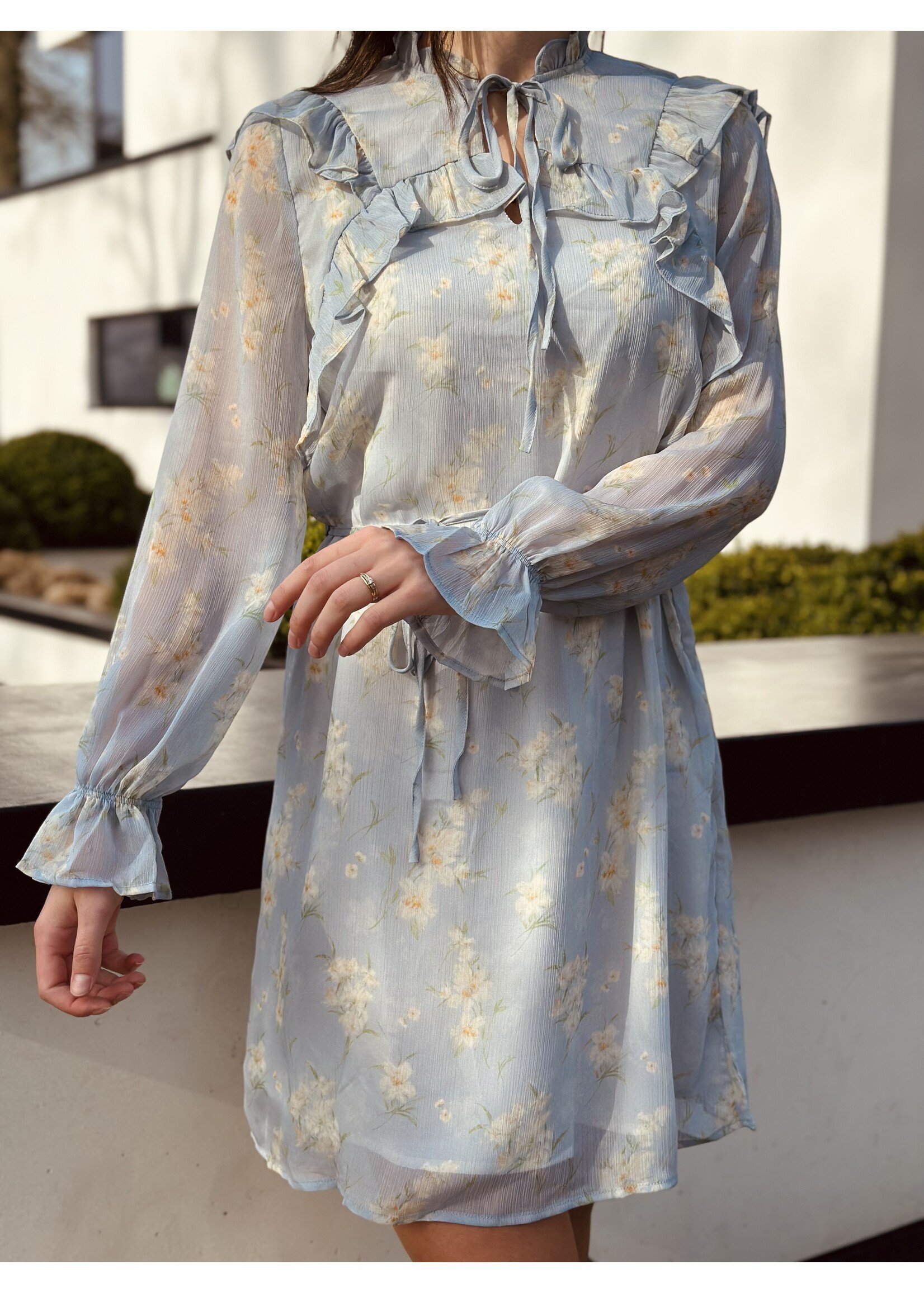 Noëlla dress flower print blue