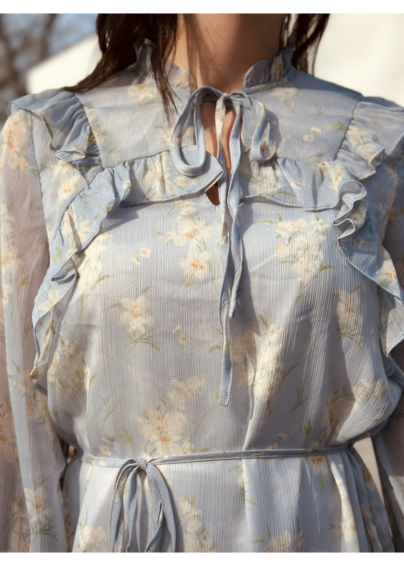 Noëlla dress flower print blue