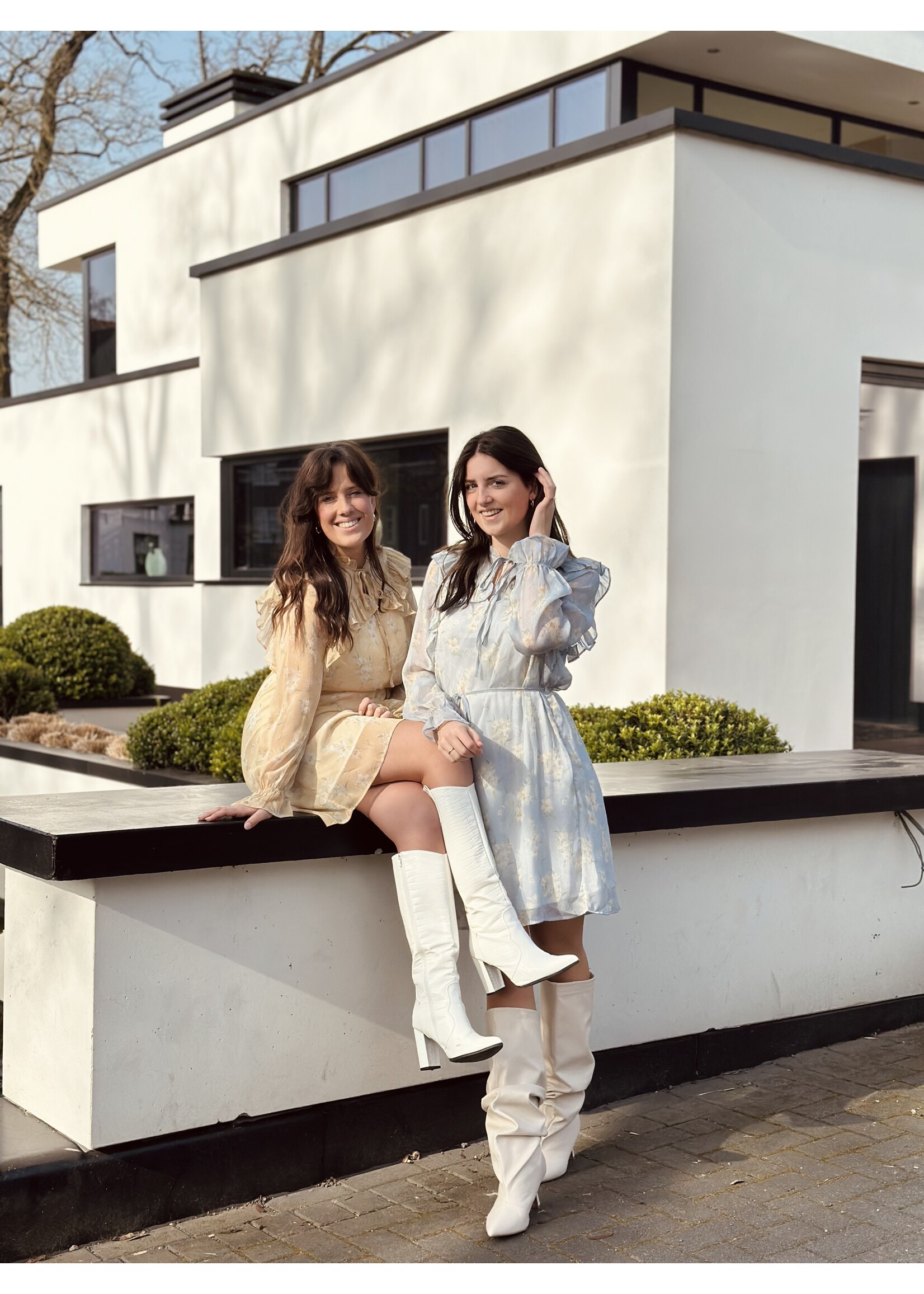 Noëlla dress flower print blue