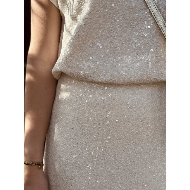 Smashed Lemon Smashed Lemon Elvive skirt beige glitter