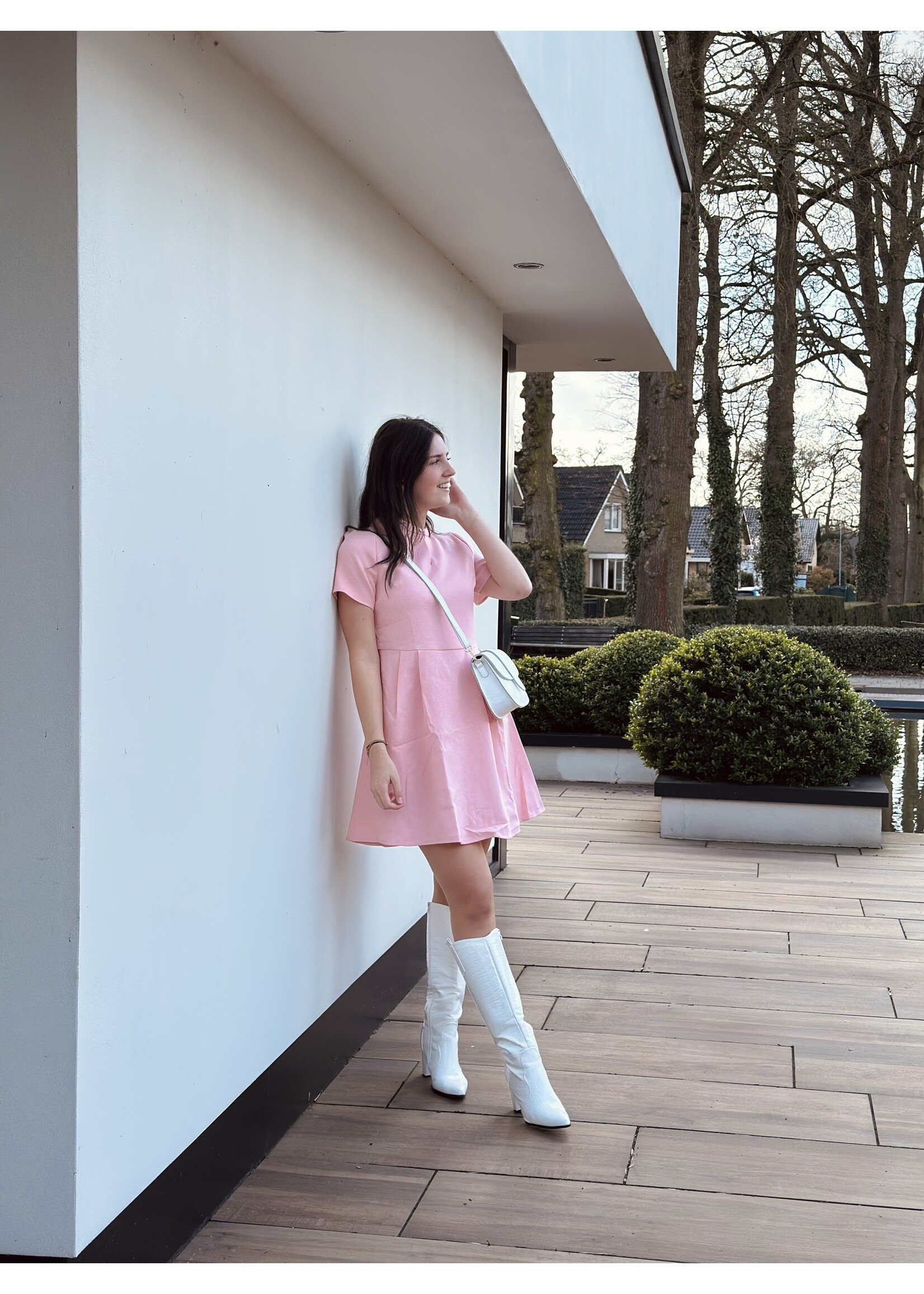 Alynda dress light pink