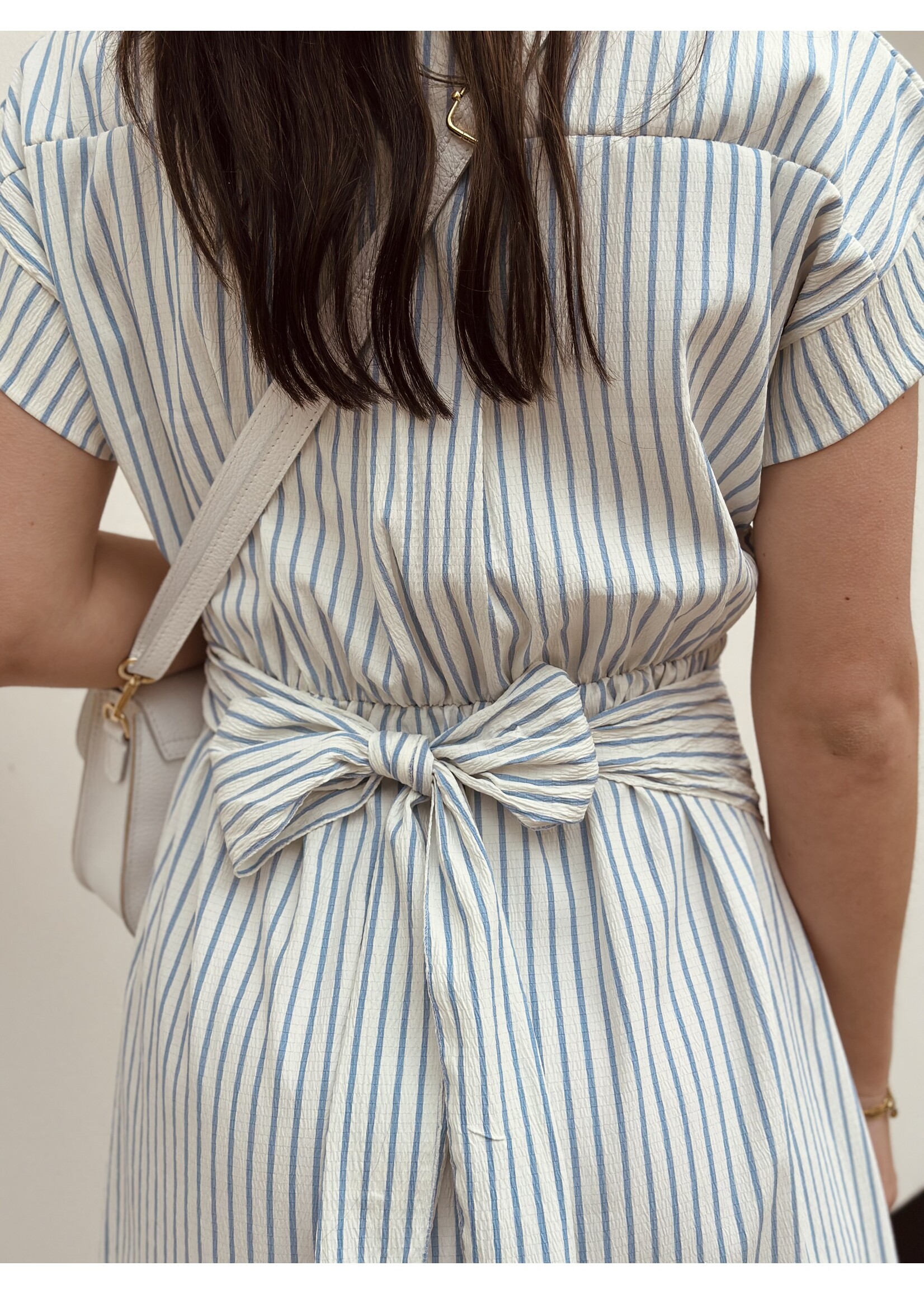 Fleur dress blue/white stripes