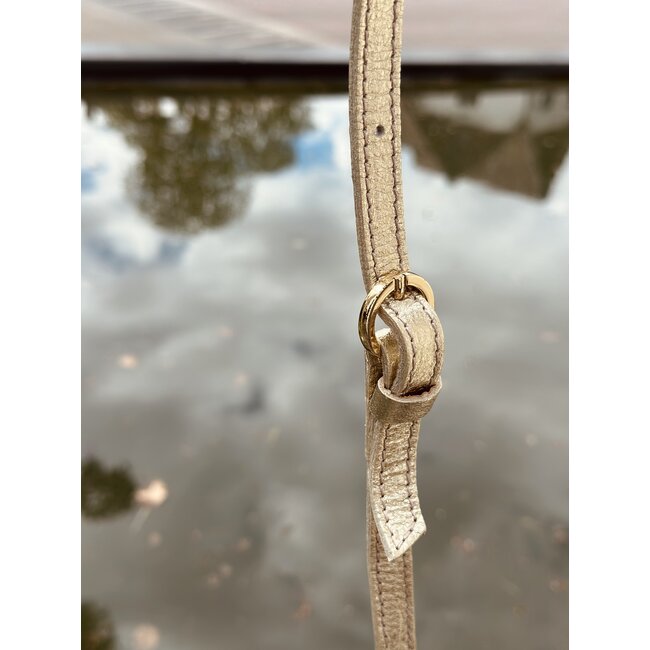 Nathalie bag gold