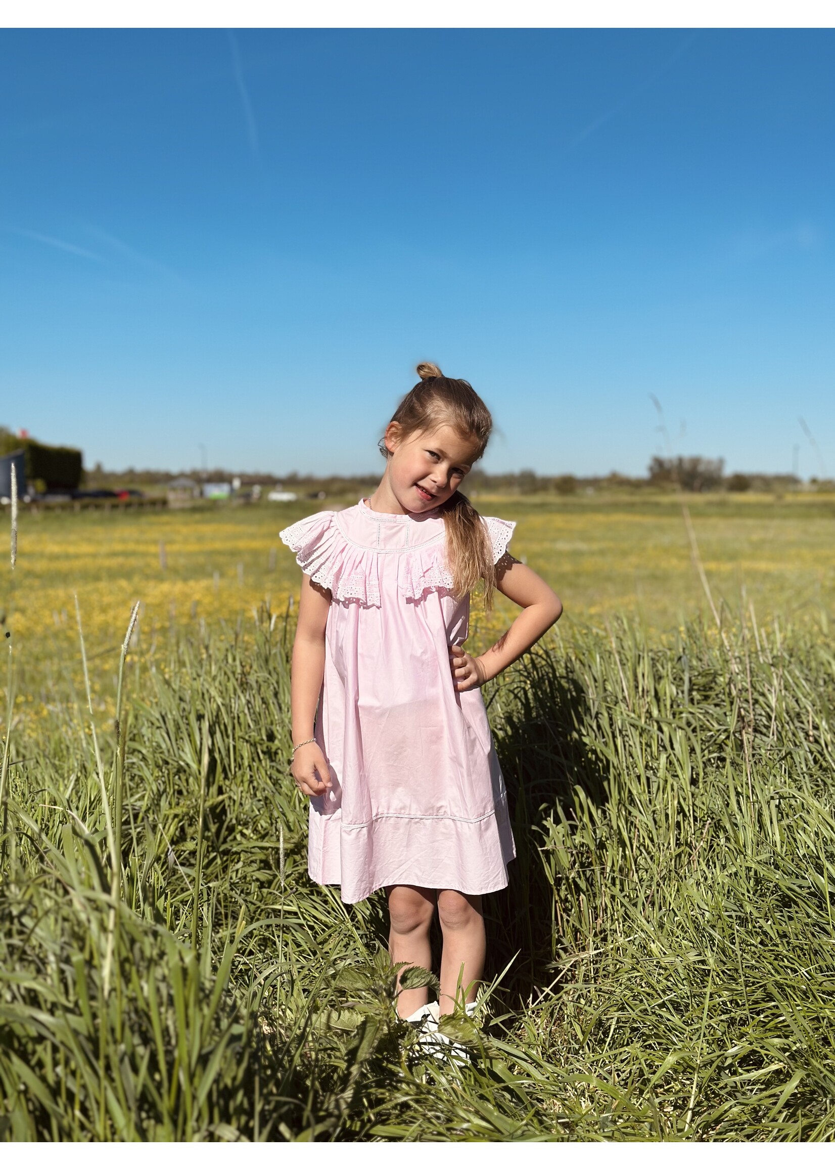 Liara dress broderie pink