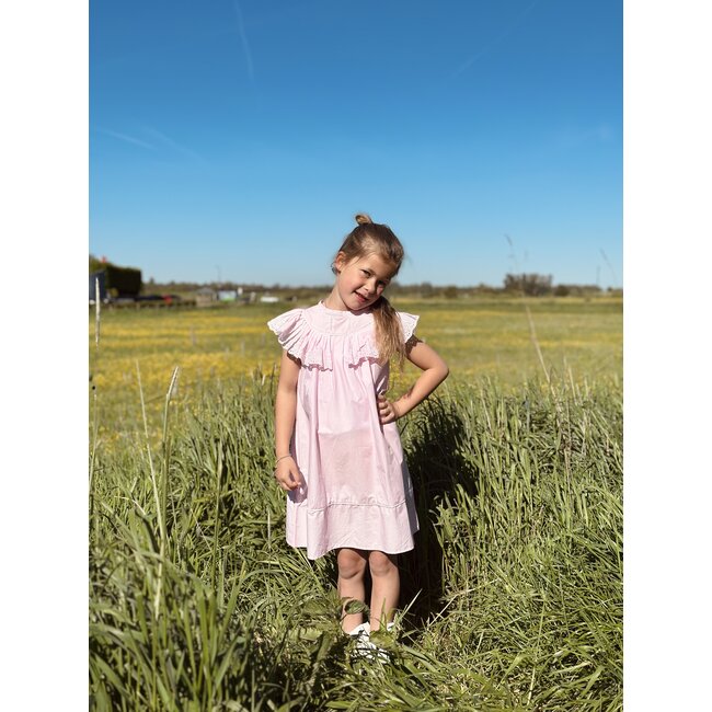 Liara dress broderie pink