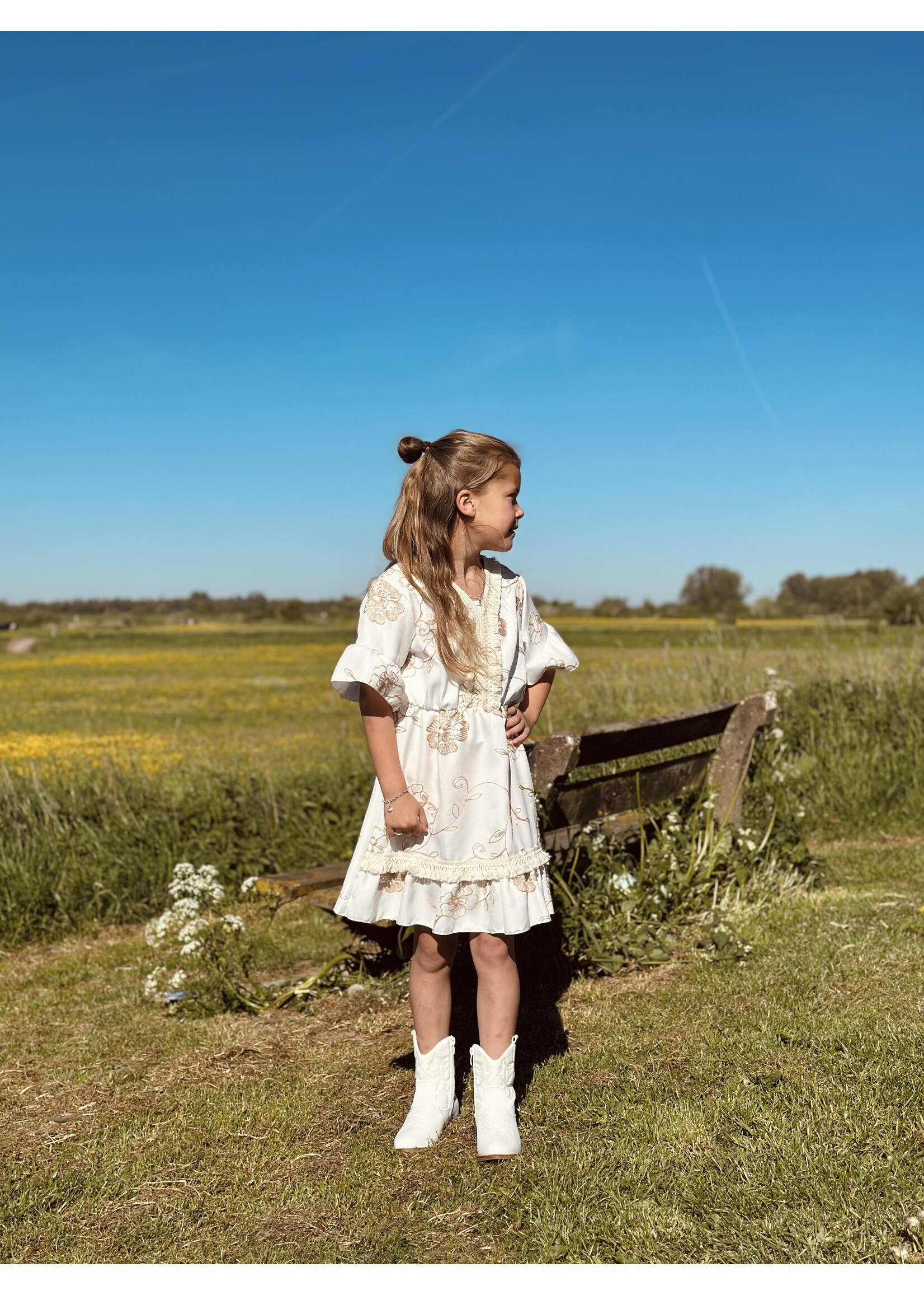 Larise dress offwhite print