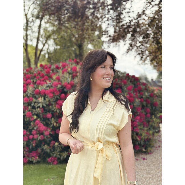 Liana long dress yellow