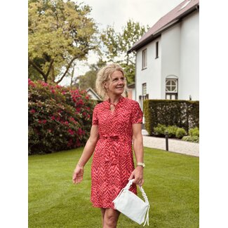 Elvira Elvira Luka dress pink print
