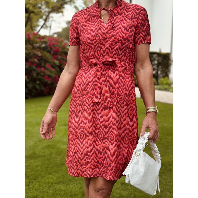 Elvira Elvira Luka dress pink print