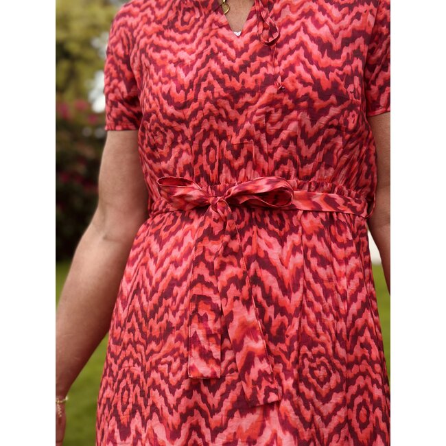 Elvira Elvira Luka dress pink print
