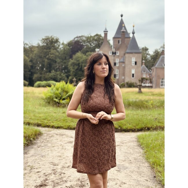 Angeleana bodycon dress brown