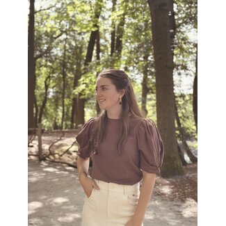 Pauliene T-shirt brown