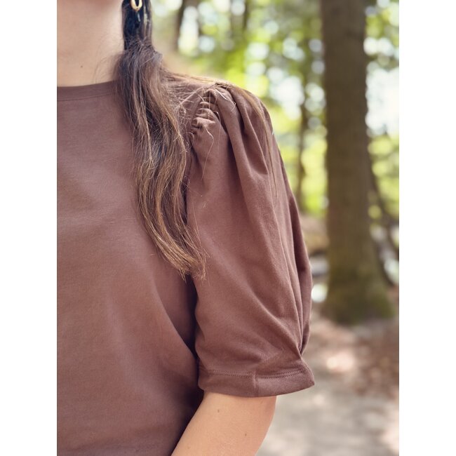 Pauliene T-shirt brown