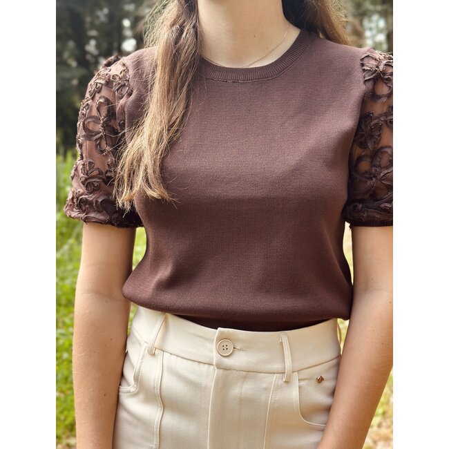 Saralyn top brown